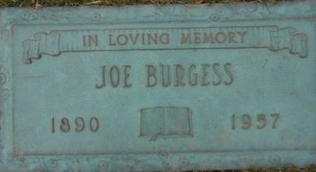 BURGESS, JOSEPH FLAVIUS - Linn County, Iowa | JOSEPH FLAVIUS BURGESS 