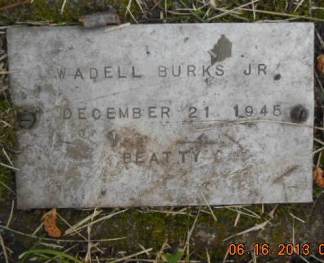 BURKS JR., WADELL - Linn County, Iowa | WADELL BURKS JR. 