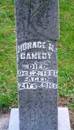 CANEDY, HORACE N - Linn County, Iowa | HORACE N CANEDY 