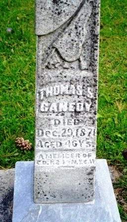 CANEDY, THOMAS S - Linn County, Iowa | THOMAS S CANEDY 