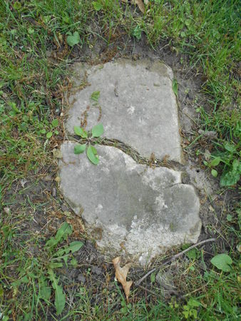 CLAFLIN, LELIA - Linn County, Iowa | LELIA CLAFLIN 