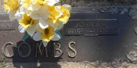 COMBS, JOHN A. H. - Linn County, Iowa | JOHN A. H. COMBS 