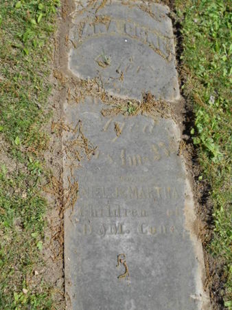 CONE, DANA   (SAMUEL WHITTLESEY DANA) - Linn County, Iowa | DANA   (SAMUEL WHITTLESEY DANA) CONE 