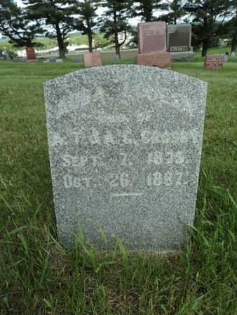 CROSBY, ADDA LOUESA - Linn County, Iowa | ADDA LOUESA CROSBY 