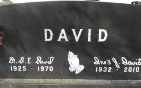 DAVID, D. E. - Linn County, Iowa | D. E. DAVID 
