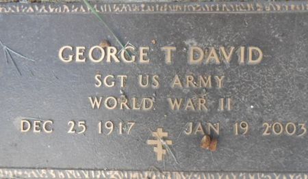 DAVID, GEORGE T. - Linn County, Iowa | GEORGE T. DAVID 