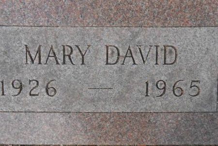DAVID, MARY - Linn County, Iowa | MARY DAVID 