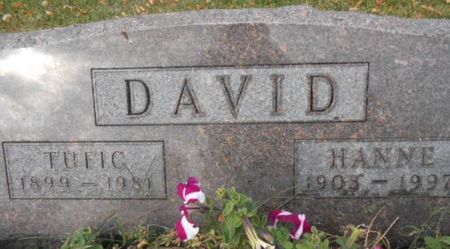 DAVID, HANNE - Linn County, Iowa | HANNE DAVID 