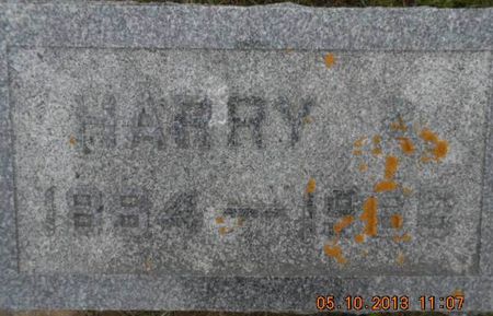 DAVIES, HARRY - Linn County, Iowa | HARRY DAVIES 