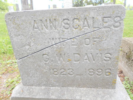 DAVIS, ANN - Linn County, Iowa | ANN DAVIS 