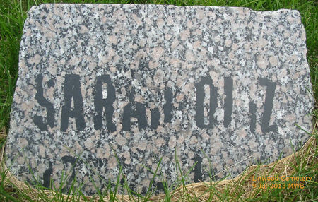 DIAZ, SARAH ANN - Linn County, Iowa | SARAH ANN DIAZ 