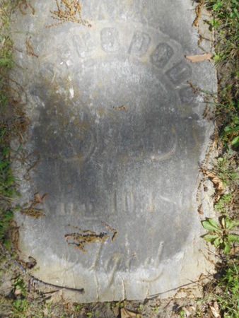 DODD, RUFUS - Linn County, Iowa | RUFUS DODD 