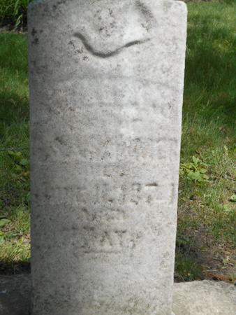 DOMER, WILLIAM - Linn County, Iowa | WILLIAM DOMER 