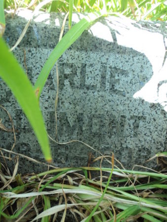 DUMONT, CHARLIE W. - Linn County, Iowa | CHARLIE W. DUMONT 