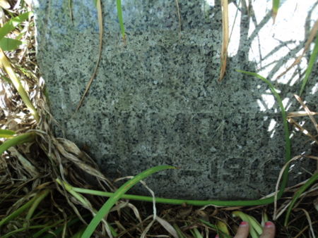 DUMONT, DOROTHY H. - Linn County, Iowa | DOROTHY H. DUMONT 