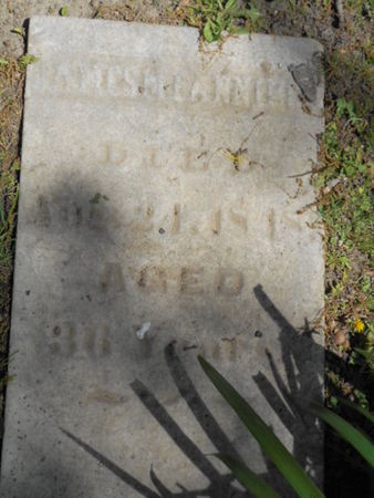 FANNING, JAMES M. - Linn County, Iowa | JAMES M. FANNING 