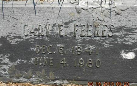 FEEKES, GARY E. - Linn County, Iowa | GARY E. FEEKES 