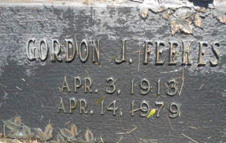 FEEKES, GORDON J. - Linn County, Iowa | GORDON J. FEEKES 