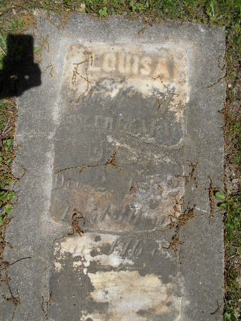 FREEMAN, LOUISA - Linn County, Iowa | LOUISA FREEMAN 