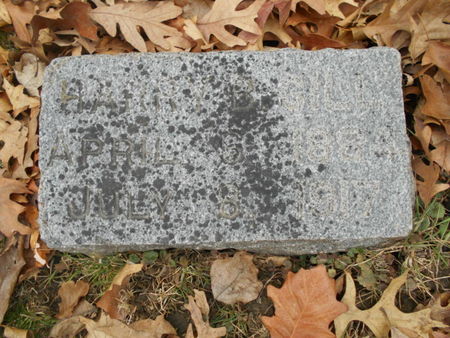 GILL, HARRY B. - Linn County, Iowa | HARRY B. GILL 