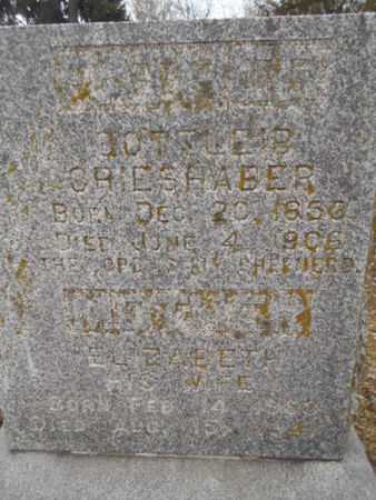 BLECHER GRIESHABER, ELIZABETH GEORGINE - Linn County, Iowa | ELIZABETH GEORGINE BLECHER GRIESHABER 