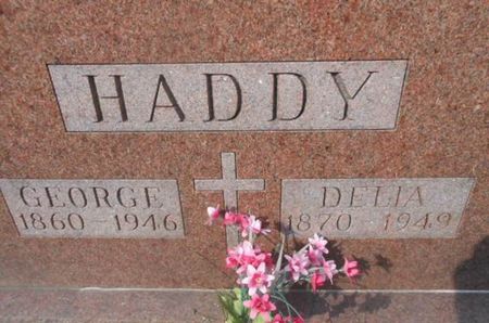 HADDY, DELIA - Linn County, Iowa | DELIA HADDY 