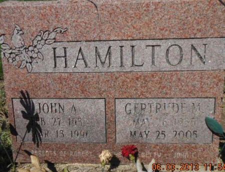 HAMILTON, JOHN A. - Linn County, Iowa | JOHN A. HAMILTON 