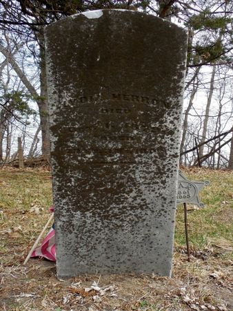 HERRON, LYDIA - Linn County, Iowa | LYDIA HERRON 