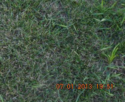 HOOK, ALBERT - Linn County, Iowa | ALBERT HOOK 