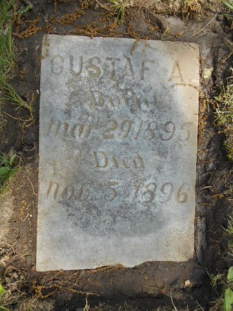 JOHNSON, GUSTAF A. - Linn County, Iowa | GUSTAF A. JOHNSON 