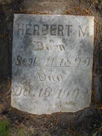 JOHNSON, HERBERT M. - Linn County, Iowa | HERBERT M. JOHNSON 