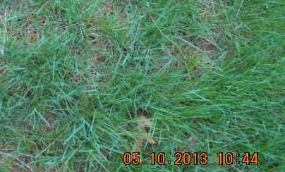 DEVOL JORDAN, SALLY - Linn County, Iowa | SALLY DEVOL JORDAN 