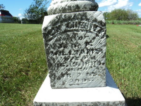 WILLIAMS, CHESTER - Linn County, Iowa | CHESTER WILLIAMS 