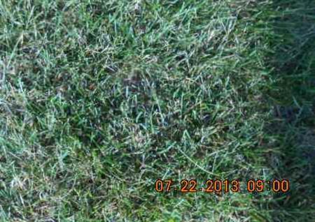 LAWRANCE, LEWIS - Linn County, Iowa | LEWIS LAWRANCE 