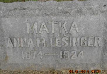 LESINGER, ANNA M. - Linn County, Iowa | ANNA M. LESINGER 