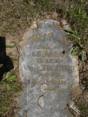 LUTZ, ALVY M. - Linn County, Iowa | ALVY M. LUTZ 