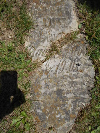 LUTZ, JOHN - Linn County, Iowa | JOHN LUTZ 