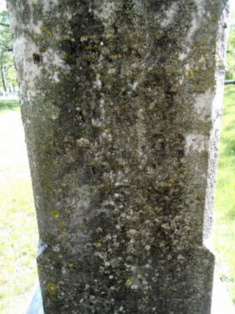 MAGEE, ROBERT - Linn County, Iowa | ROBERT MAGEE 