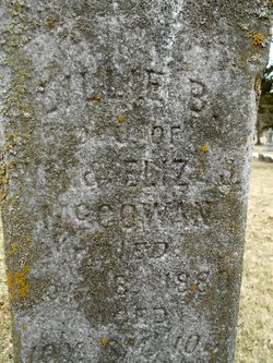 MCGOWAN, LILILIE B. - Linn County, Iowa | LILILIE B. MCGOWAN 