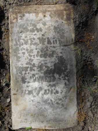 MCKNIGHT, CEPHAS - Linn County, Iowa | CEPHAS MCKNIGHT 