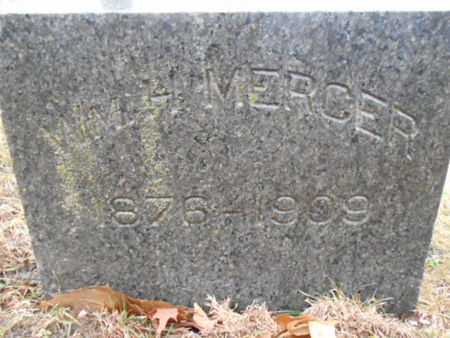 MERCER, WILLIAM H. - Linn County, Iowa | WILLIAM H. MERCER 