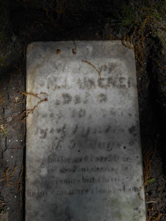 MISENER, ALONZO - Linn County, Iowa | ALONZO MISENER 