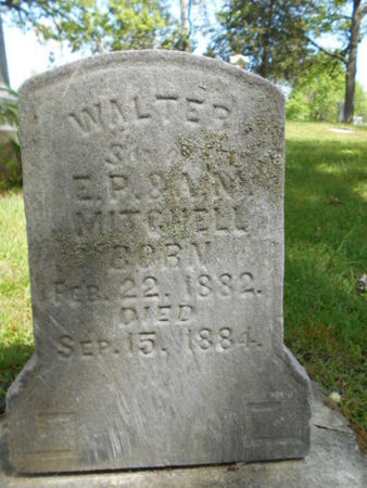 MITCHELL, WALTER - Linn County, Iowa | WALTER MITCHELL 