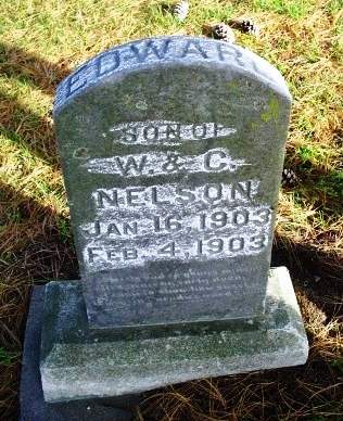 NELSON, EDWARD - Linn County, Iowa | EDWARD NELSON 
