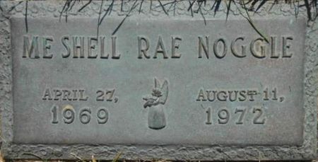 NOGGLE, ME SHELL RAE - Linn County, Iowa | ME SHELL RAE NOGGLE 