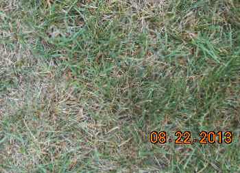 NORTHRUP, GEORGE ELIHU - Linn County, Iowa | GEORGE ELIHU NORTHRUP 