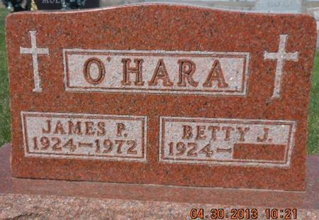 O'HARA, JAMES P. - Linn County, Iowa | JAMES P. O'HARA 