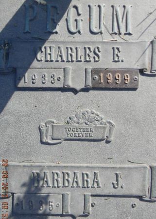 PEGUM, CHARLES E. - Linn County, Iowa | CHARLES E. PEGUM 