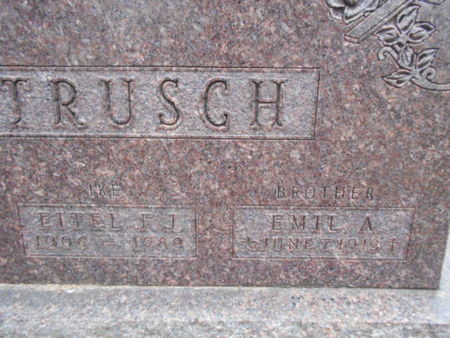 PETRUSCH, EMIL A. - Linn County, Iowa | EMIL A. PETRUSCH 