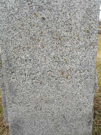 PITTS, BABY - Linn County, Iowa | BABY PITTS 